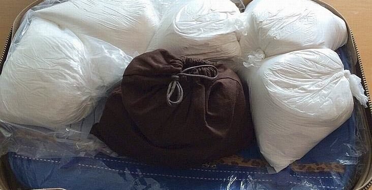 Conakry : sept valises de cocaïne retrouvées dans un véhicule diplomatique Sierra Léonais